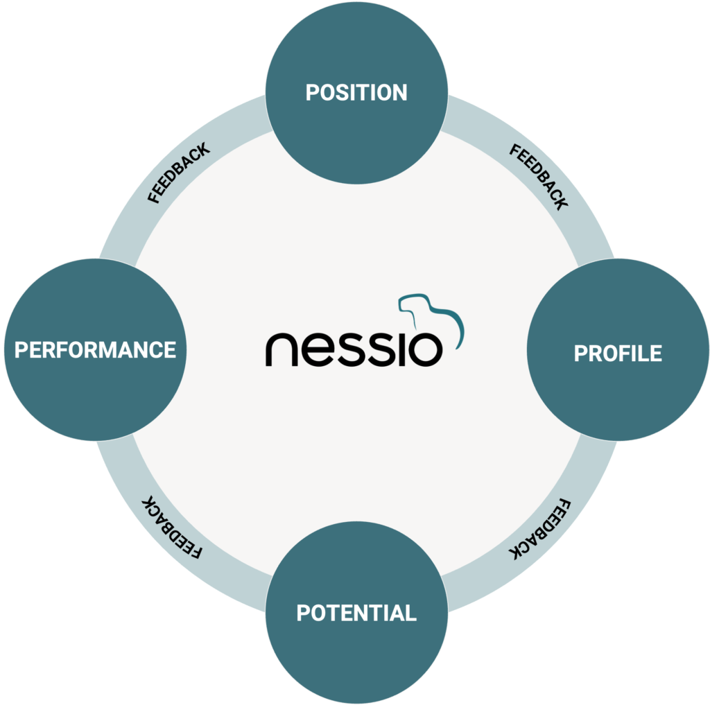 Illustration of the procedural model from nessio.org, visualizing the individual steps for developing competencies aimed at sustainable performance improvement and team development. The diagram presents a structured approach to fostering leadership and team collaboration.